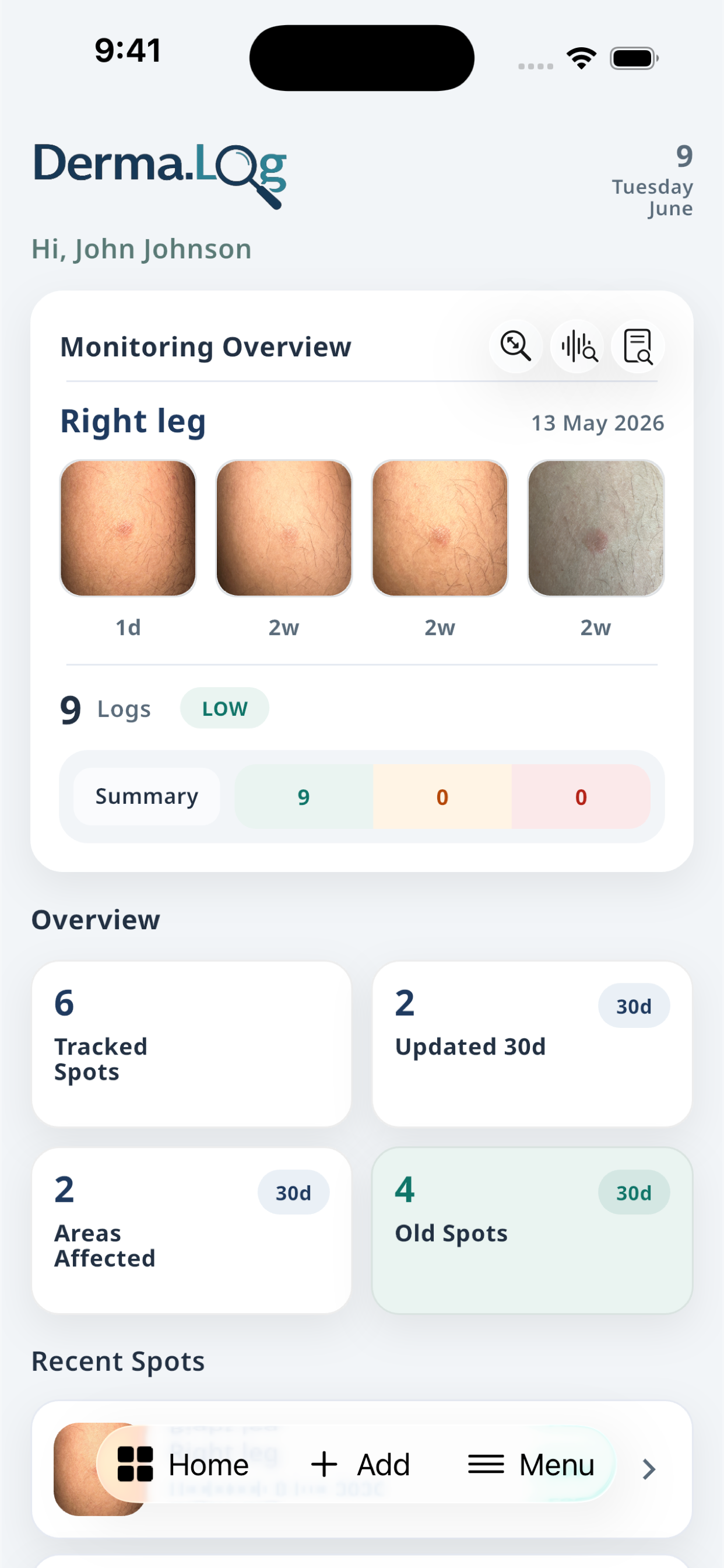 Derma.Log dashboard showing grouped image records and recent skin observations